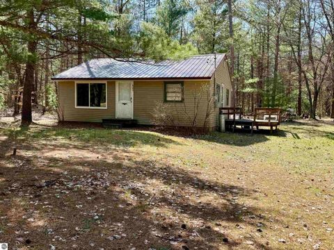 Tiny photo for 6191 N Pine River Road, Luther, MI 49656 (MLS # 1944164)