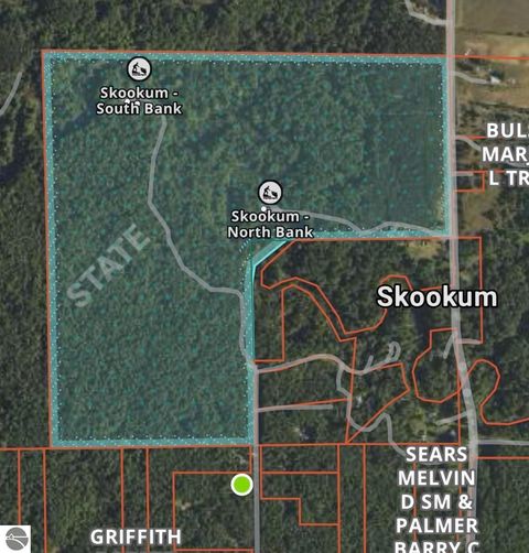 Tiny photo for 6191 N Pine River Road, Luther, MI 49656 (MLS # 1944164)