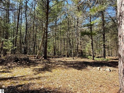 Tiny photo for 6191 N Pine River Road, Luther, MI 49656 (MLS # 1944164)