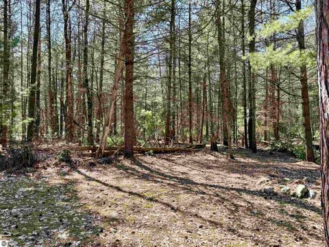 Tiny photo for 6191 N Pine River Road, Luther, MI 49656 (MLS # 1944164)