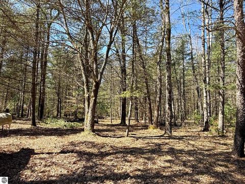 Tiny photo for 6191 N Pine River Road, Luther, MI 49656 (MLS # 1944164)