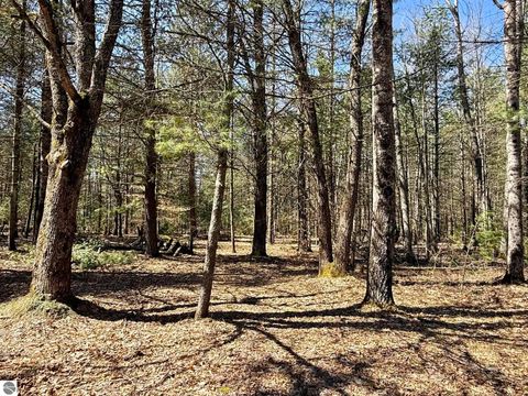 Tiny photo for 6191 N Pine River Road, Luther, MI 49656 (MLS # 1944164)