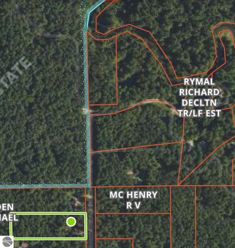 Tiny photo for 6191 N Pine River Road, Luther, MI 49656 (MLS # 1944164)