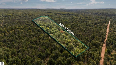 Tiny photo for 11663 SE Blueberry Trail, Fife Lake, MI 49633 (MLS # 1950774)
