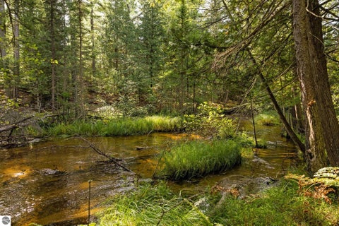 Tiny photo for 11663 SE Blueberry Trail, Fife Lake, MI 49633 (MLS # 1950774)