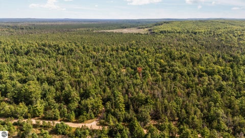 Tiny photo for 11663 SE Blueberry Trail, Fife Lake, MI 49633 (MLS # 1950774)