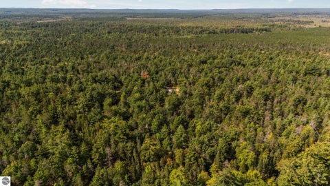 Tiny photo for 11663 SE Blueberry Trail, Fife Lake, MI 49633 (MLS # 1950774)
