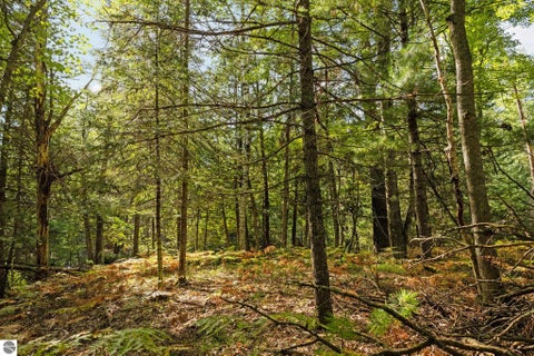 Tiny photo for 11663 SE Blueberry Trail, Fife Lake, MI 49633 (MLS # 1950774)