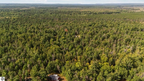 Tiny photo for 11663 SE Blueberry Trail, Fife Lake, MI 49633 (MLS # 1950774)