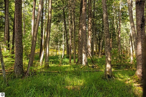 Tiny photo for 11663 SE Blueberry Trail, Fife Lake, MI 49633 (MLS # 1950774)