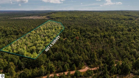 Tiny photo for 11663 SE Blueberry Trail, Fife Lake, MI 49633 (MLS # 1950774)