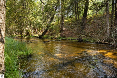 Tiny photo for 11663 SE Blueberry Trail, Fife Lake, MI 49633 (MLS # 1950774)