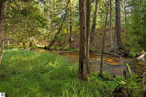 Tiny photo for 11663 SE Blueberry Trail, Fife Lake, MI 49633 (MLS # 1950774)