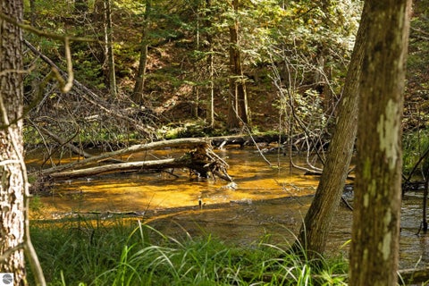 Tiny photo for 11663 SE Blueberry Trail, Fife Lake, MI 49633 (MLS # 1950774)