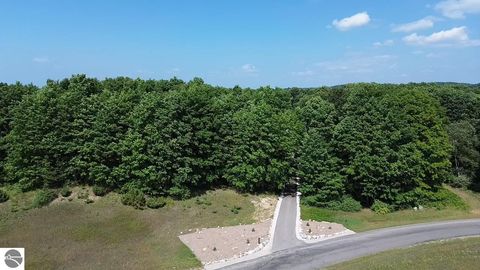 Tiny photo for 8986 Alden Meadows, Alden, MI 49612 (MLS # 1942312)