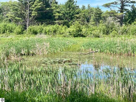 Tiny photo for 3325 N US-23 N, Au Sable, MI 48750 (MLS # 1946698)