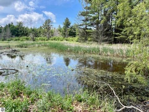Tiny photo for 3325 N US-23 N, Au Sable, MI 48750 (MLS # 1946698)