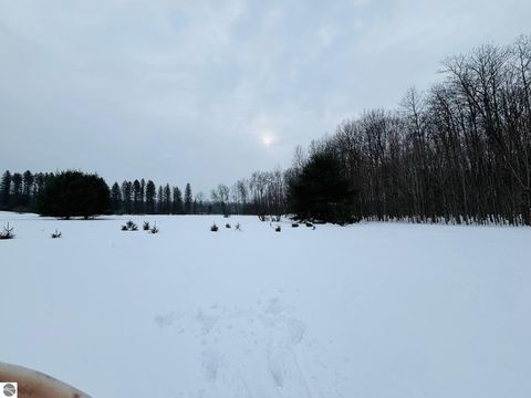 Tiny photo for 1392 N Intermediate Lake Road, Central Lake, MI 49622 (MLS # 1941501)