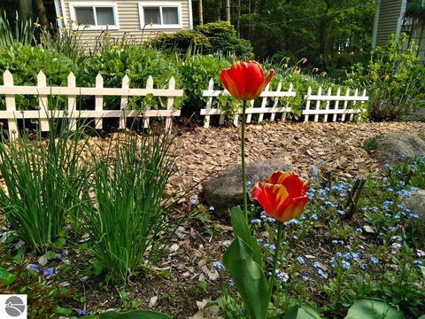 Tiny photo for 3196 Joe Marks Trail, Kewadin, MI 49648 (MLS # 1945110)