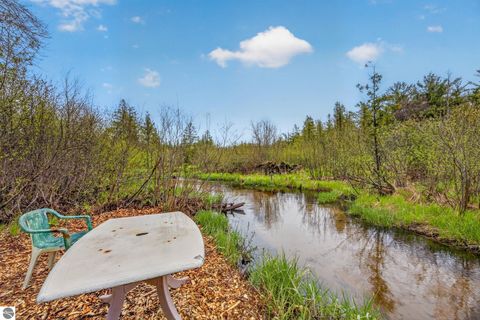 Tiny photo for 109 N Park Street, Manton, MI 49663 (MLS # 1945139)