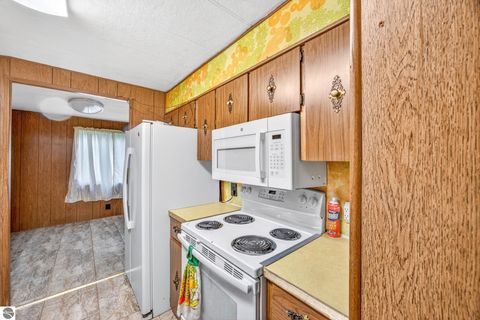 Tiny photo for 109 N Park Street, Manton, MI 49663 (MLS # 1945139)