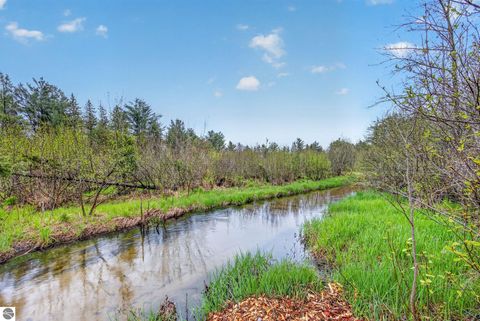 Tiny photo for 109 N Park Street, Manton, MI 49663 (MLS # 1945139)