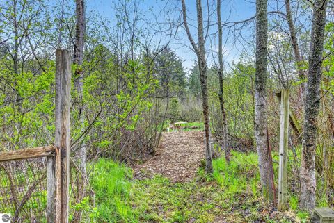 Tiny photo for 109 N Park Street, Manton, MI 49663 (MLS # 1945139)