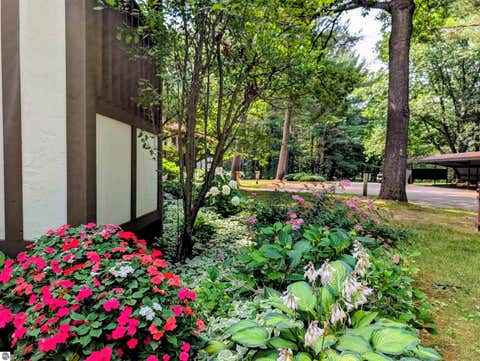 Tiny photo for 6865 Pinebrook Drive #11, Bellaire, MI 49615 (MLS # 1945662)