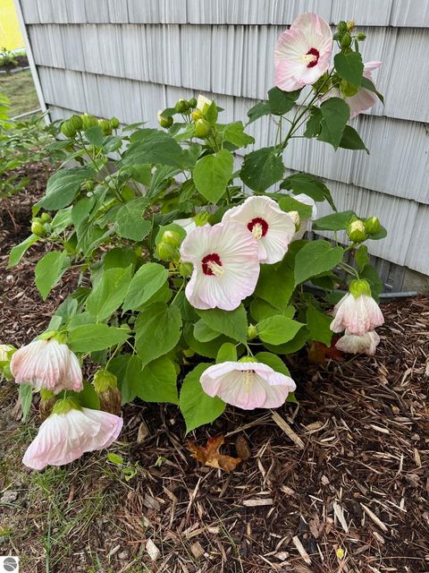 Tiny photo for 481 Lake Drive NE, Kalkaska, MI 49646 (MLS # 1940927)