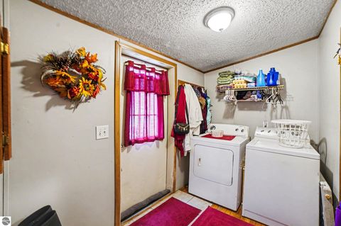 Tiny photo for 6125 Tamarack Road, Vestaburg, MI 48891 (MLS # 1943198)