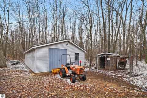 Tiny photo for 6125 Tamarack Road, Vestaburg, MI 48891 (MLS # 1943198)