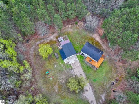Tiny photo for 8765 E 10 Road, Manton, MI 49663 (MLS # 1945182)