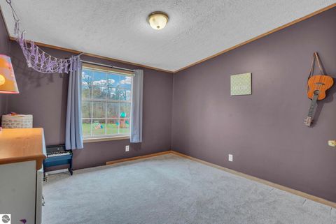 Tiny photo for 8765 E 10 Road, Manton, MI 49663 (MLS # 1945182)