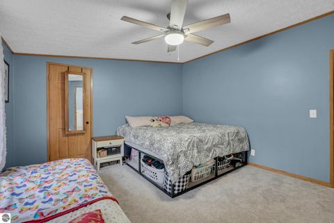 Tiny photo for 8765 E 10 Road, Manton, MI 49663 (MLS # 1945182)