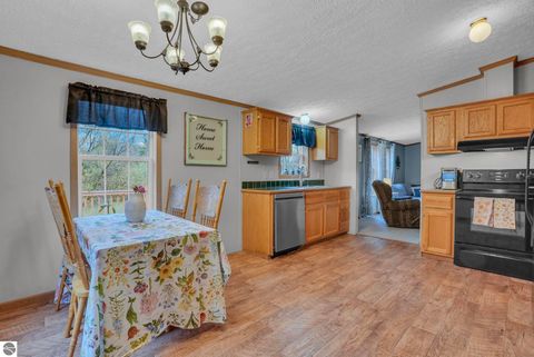 Tiny photo for 8765 E 10 Road, Manton, MI 49663 (MLS # 1945182)
