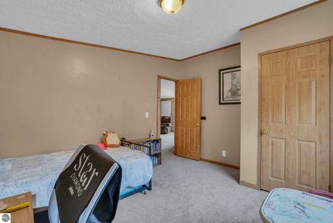 Tiny photo for 8765 E 10 Road, Manton, MI 49663 (MLS # 1945182)