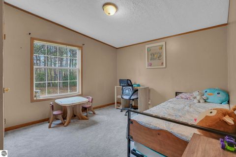 Tiny photo for 8765 E 10 Road, Manton, MI 49663 (MLS # 1945182)