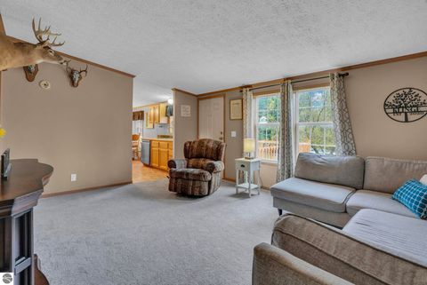 Tiny photo for 8765 E 10 Road, Manton, MI 49663 (MLS # 1945182)