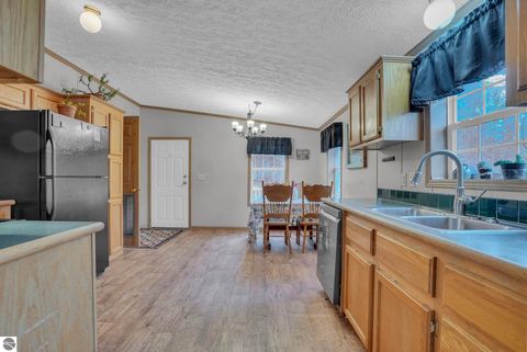 Tiny photo for 8765 E 10 Road, Manton, MI 49663 (MLS # 1945182)