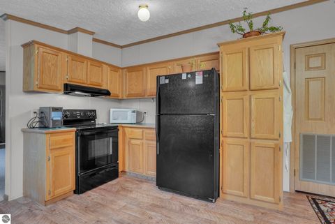Tiny photo for 8765 E 10 Road, Manton, MI 49663 (MLS # 1945182)