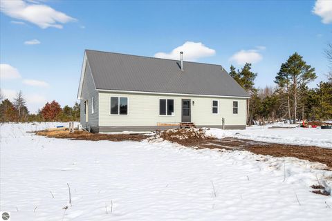 Tiny photo for 13501 Pioneer, Leroy, MI 49655 (MLS # 1942385)