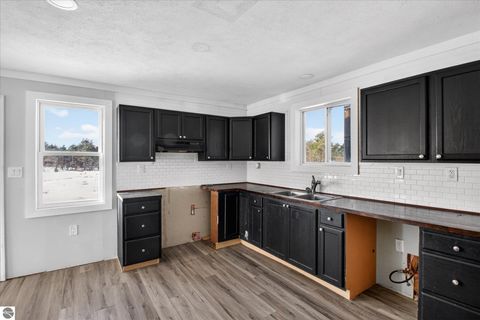 Tiny photo for 13501 Pioneer, Leroy, MI 49655 (MLS # 1942385)