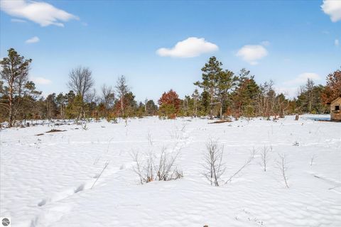 Tiny photo for 13501 Pioneer, Leroy, MI 49655 (MLS # 1942385)