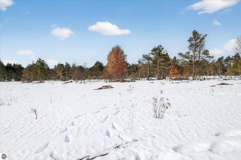 Tiny photo for 13501 Pioneer, Leroy, MI 49655 (MLS # 1942385)