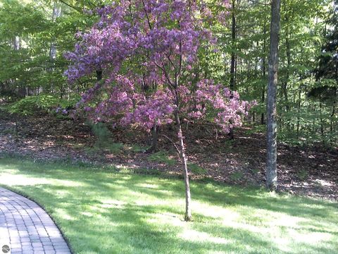 Tiny photo for 8162 Skegemog Point Road, Williamsburg, MI 49690 (MLS # 1942835)