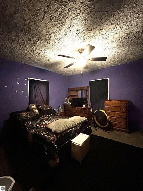 Tiny photo for 110 N Grover Avenue, Alma, MI 48801 (MLS # 1950521)