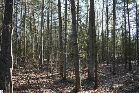 Tiny photo for 3583 E Cedar Lake Drive, Greenbush, MI 48738 (MLS # 1942988)