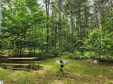 Tiny photo for 5364 Blue Lake Road, Ne, Kalkaska, MI 49646 (MLS # 1946814)