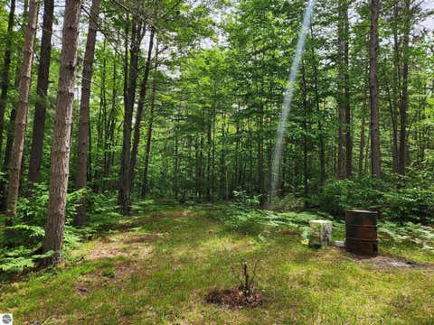 Tiny photo for 5364 Blue Lake Road, Ne, Kalkaska, MI 49646 (MLS # 1946814)