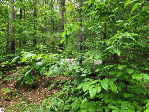 Tiny photo for 5364 Blue Lake Road, Ne, Kalkaska, MI 49646 (MLS # 1946814)